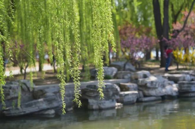 国风上海社金雨个人专刊—上海头条（图11）