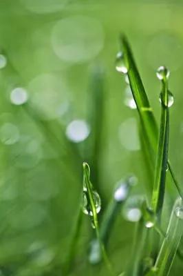 国风上海社金雨个人专刊—上海头条（图38）