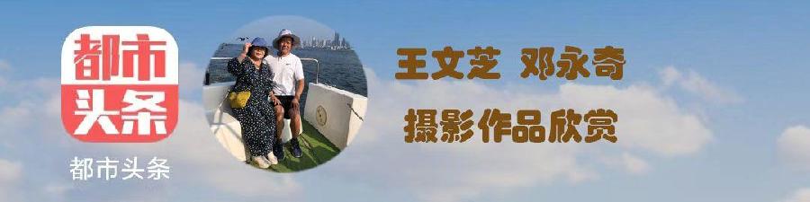 【摄影】王文芝:花儿美（图4）