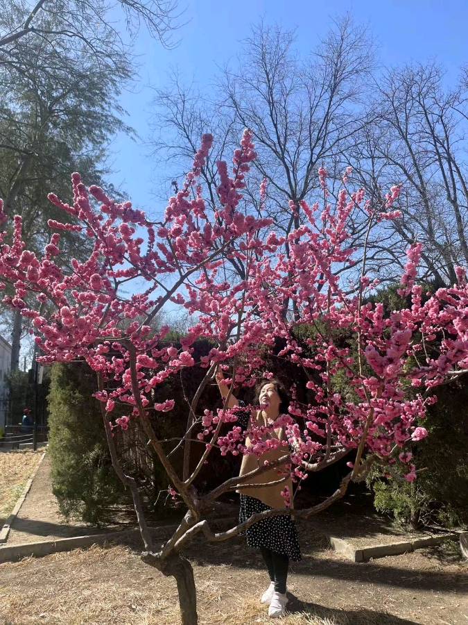 【摄影】王文芝:花儿美（图40）