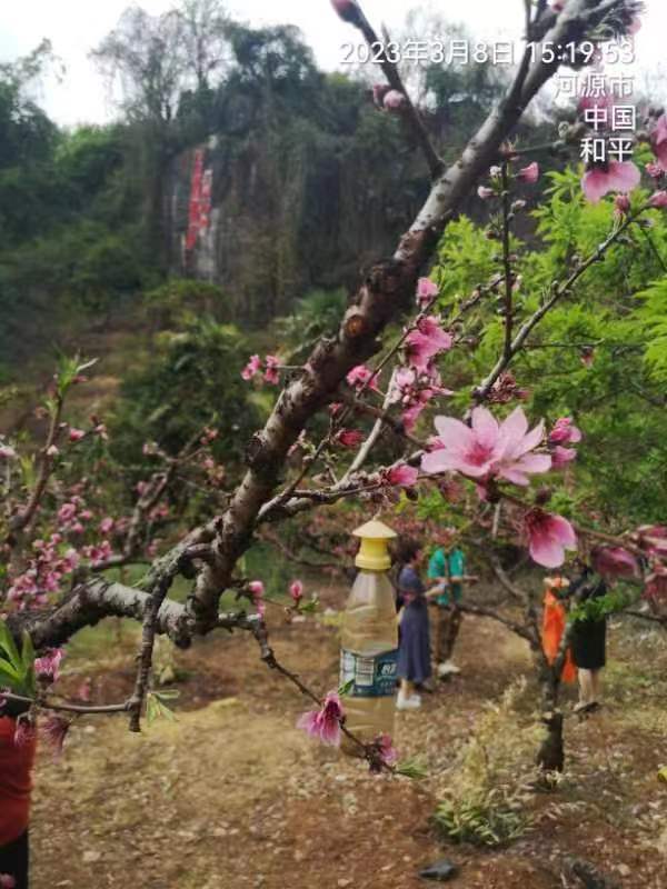 三元诗八首 文/詹成(图18)