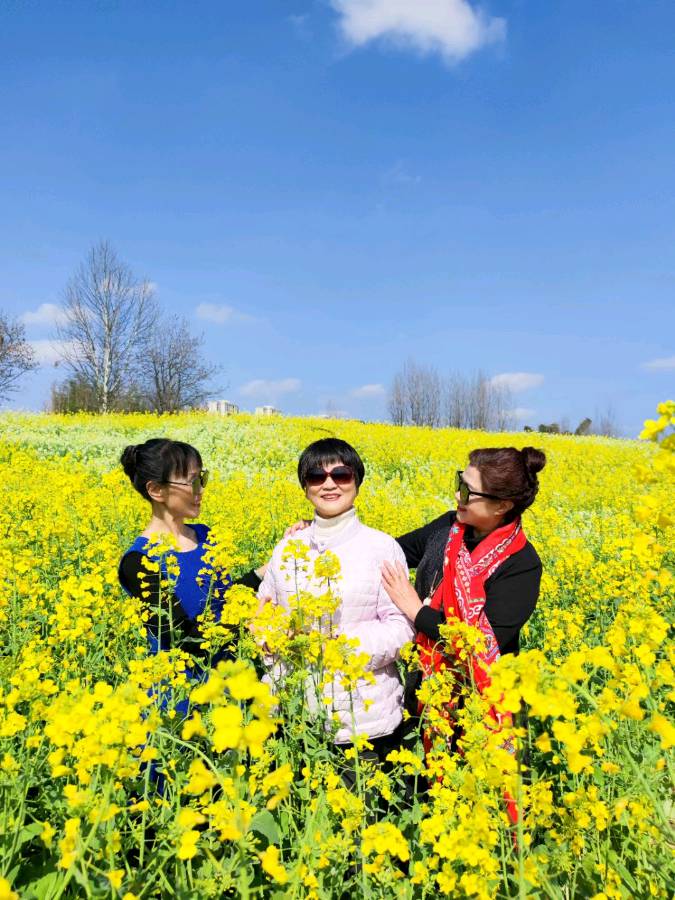 【摄影】总屏:春暖花开（图20）