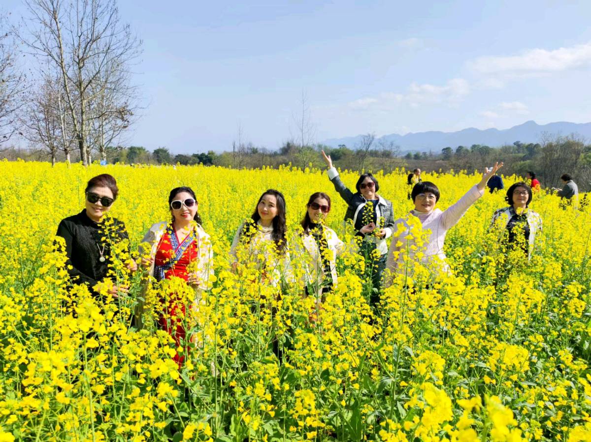 【摄影】总屏:春暖花开（图28）