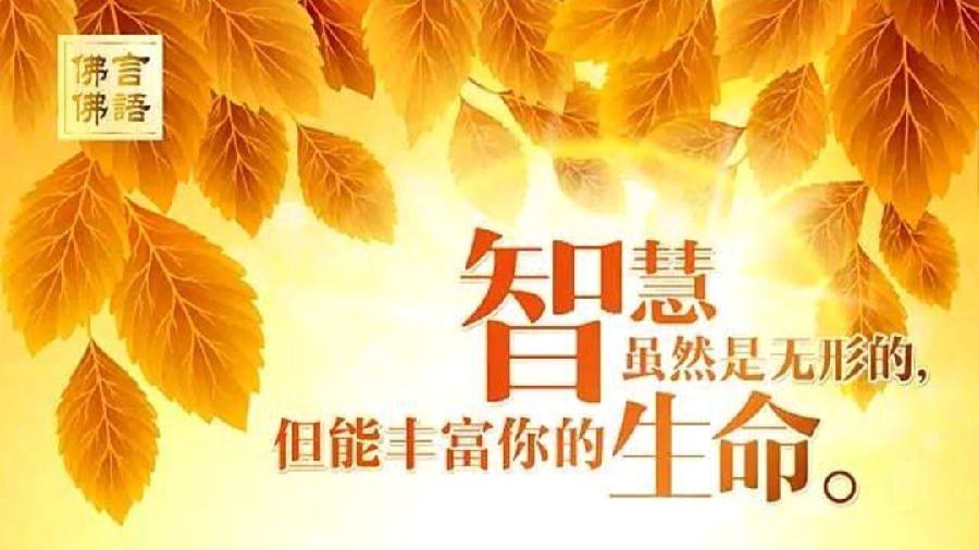《九江文学社：有声文学》《论智慧》文/董琦 精英主播/凤凰之歌（图4）