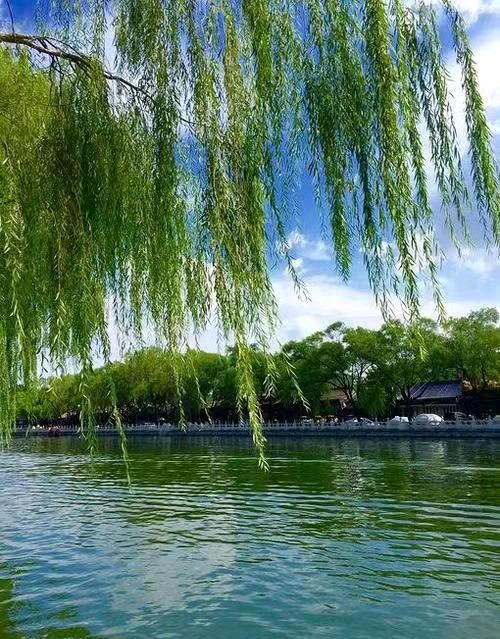 联机全球发布张树元作品欣赏（图11）