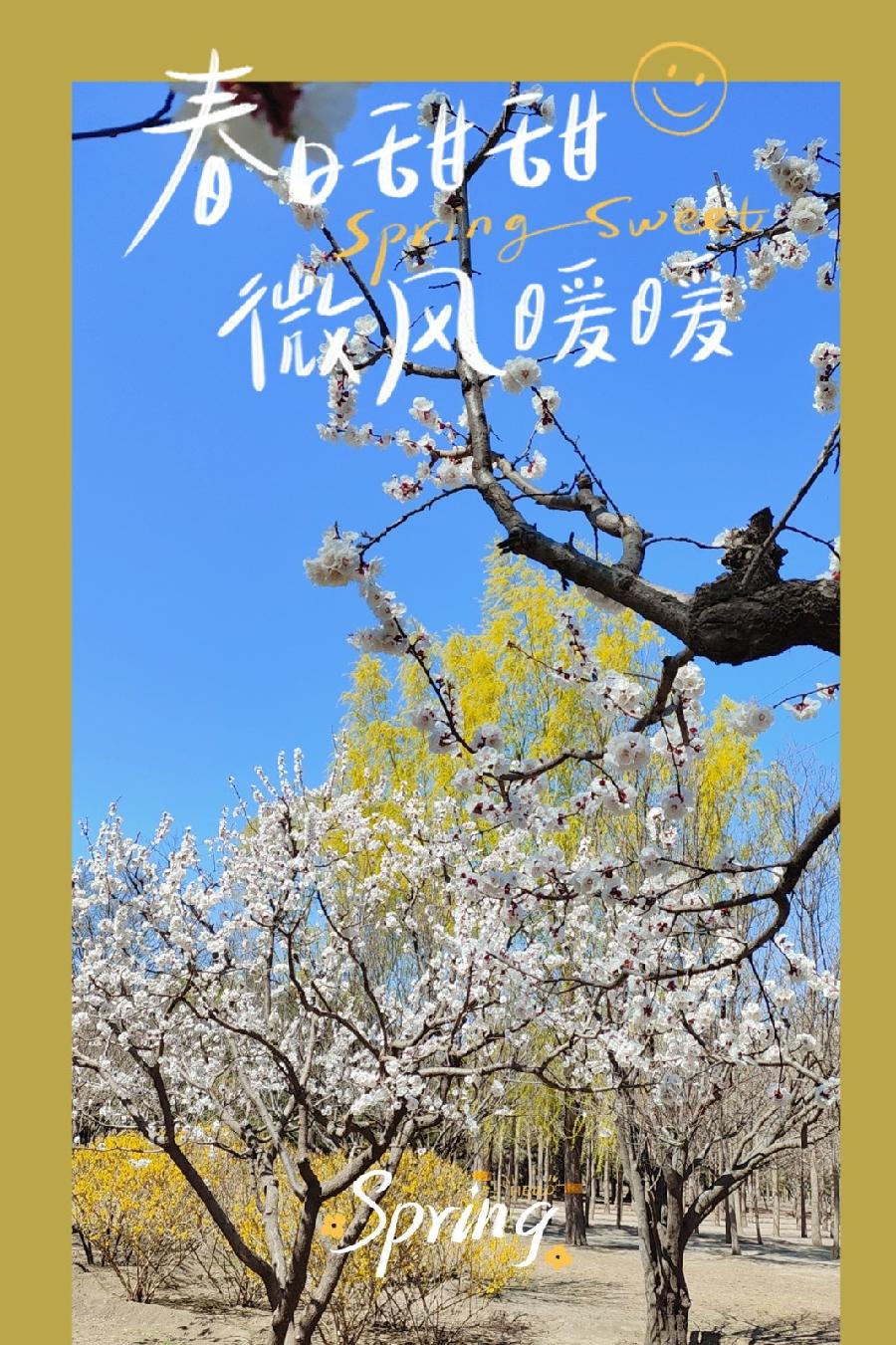 我快乐朗诵【美人生】作者/王胜利（图8）