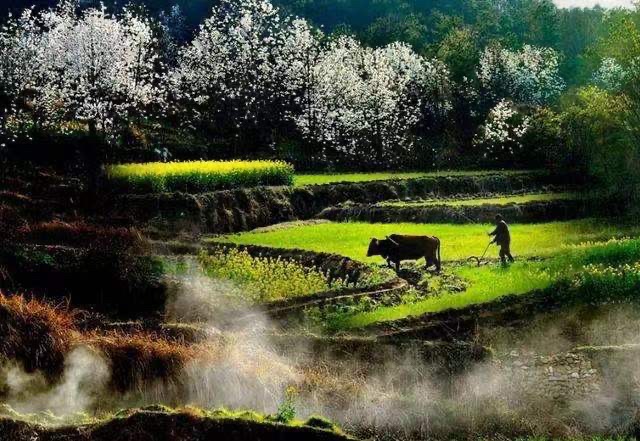 《天下美食》（3）文：众诗人【天下美食总社】世界诗人名人展（9875）（图15）