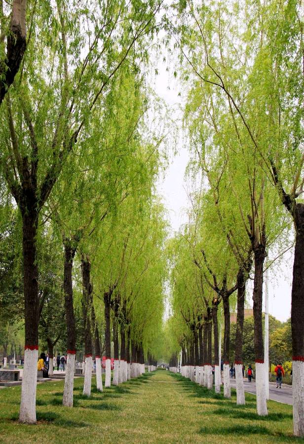 环球诗歌~《古诗词》(图5)