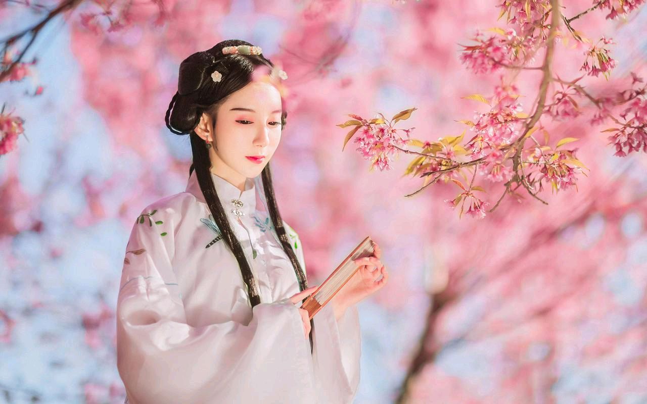《来自龟壳上的神秘占卜》作者:白若‖主播:芳草青青【桃源国际诗歌集团】用声音传递温暖以诵读致敬人生♬（图4）