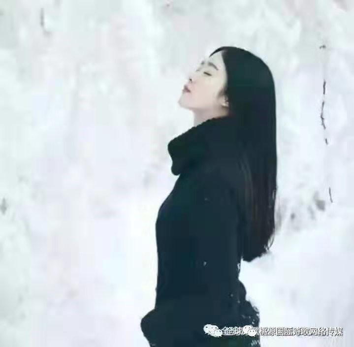 《来自龟壳上的神秘占卜》作者:白若‖主播:芳草青青【桃源国际诗歌集团】用声音传递温暖以诵读致敬人生♬（图10）