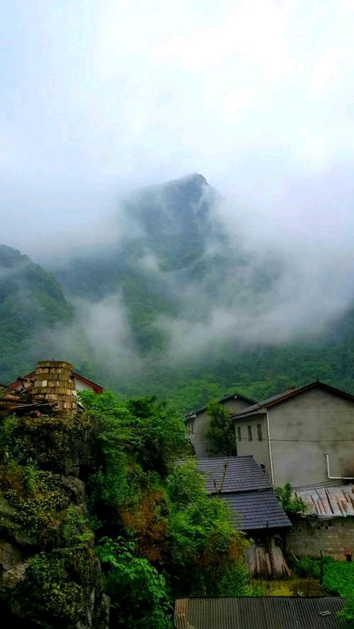 《看够了风，我做雨》作者:王跃强【主播:知语】【桃源国际诗歌集团】用声音传递温暖以诵读致敬人生♬（图6）