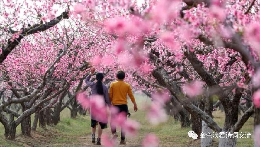 【神州源流诗苑】第906期[优秀近体诗]周刊（图9）