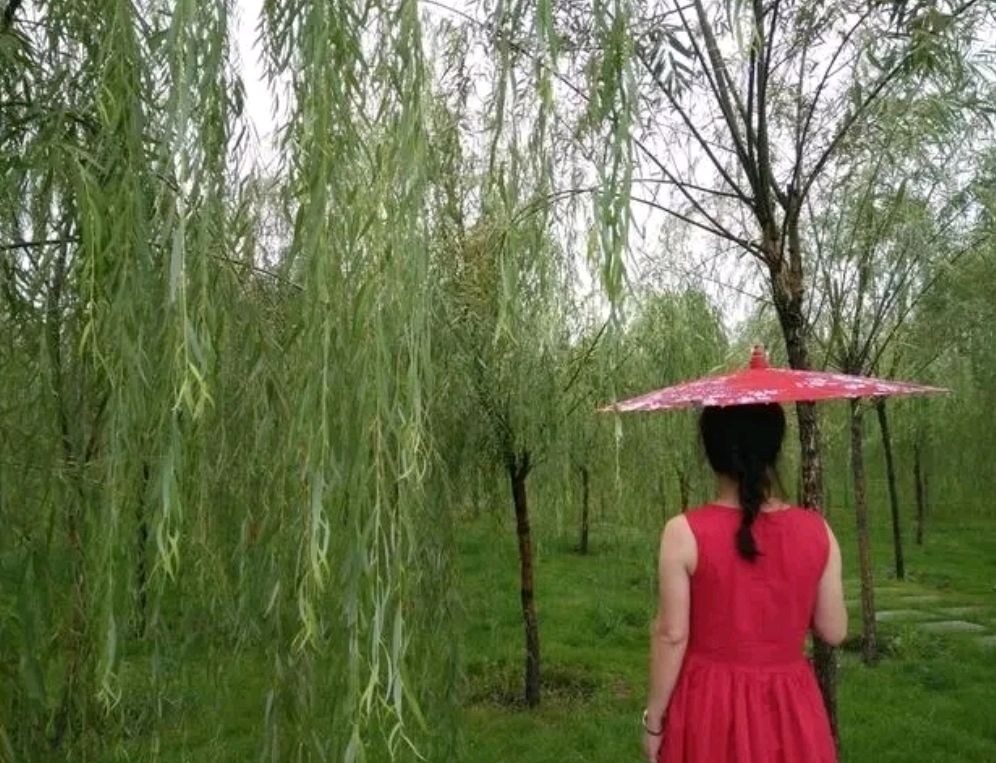 环球诗歌~《昨天雨中的思念》(图2)