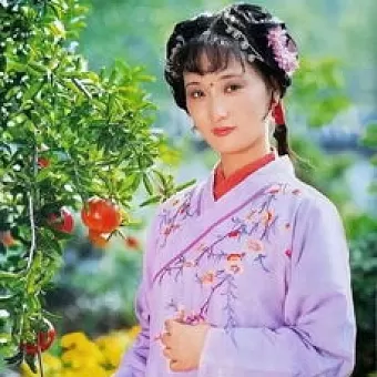 春的旋律之二十六：王义《红楼梦人物二十四节气》‖巴彦诗协诗词卷【490】（图22）