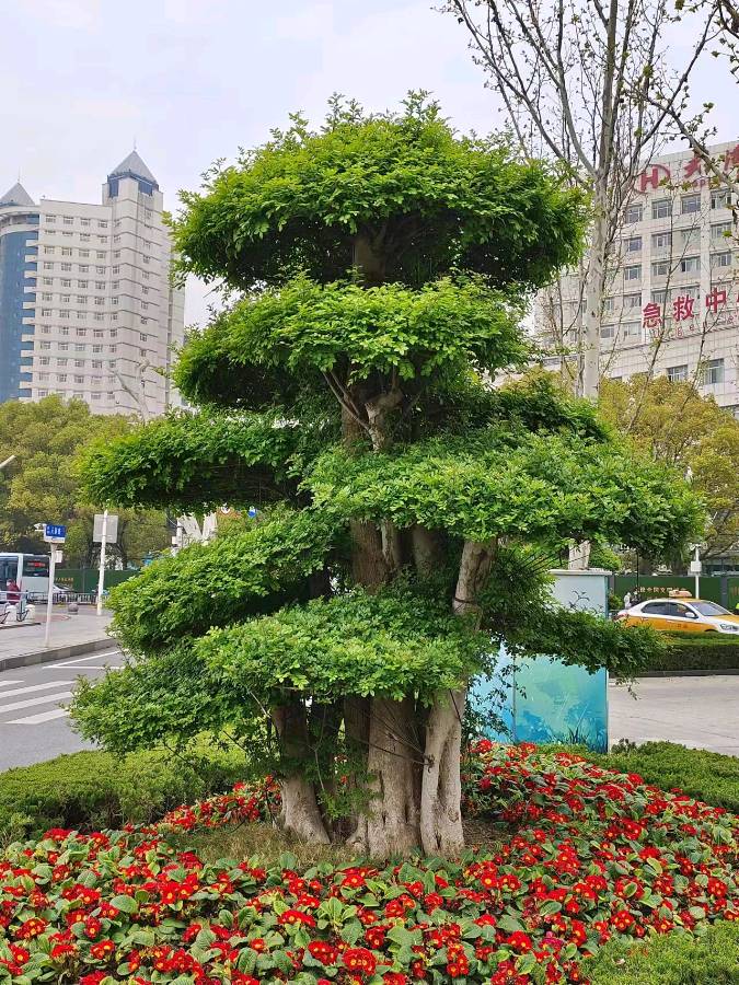 联机全球发布吴华龙作品欣赏！（图14）