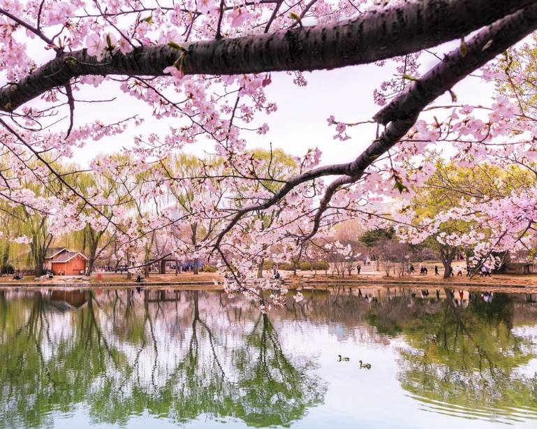 联机全球发布吴华龙作品欣赏！（图40）