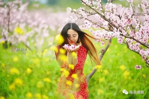 【新山东文学社】《人生十二雅（外三首）》作者/石市老者 主播/星空（图5）