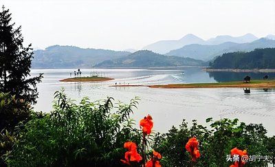 梁诗颐：《迷恋金桂湖》（图2）