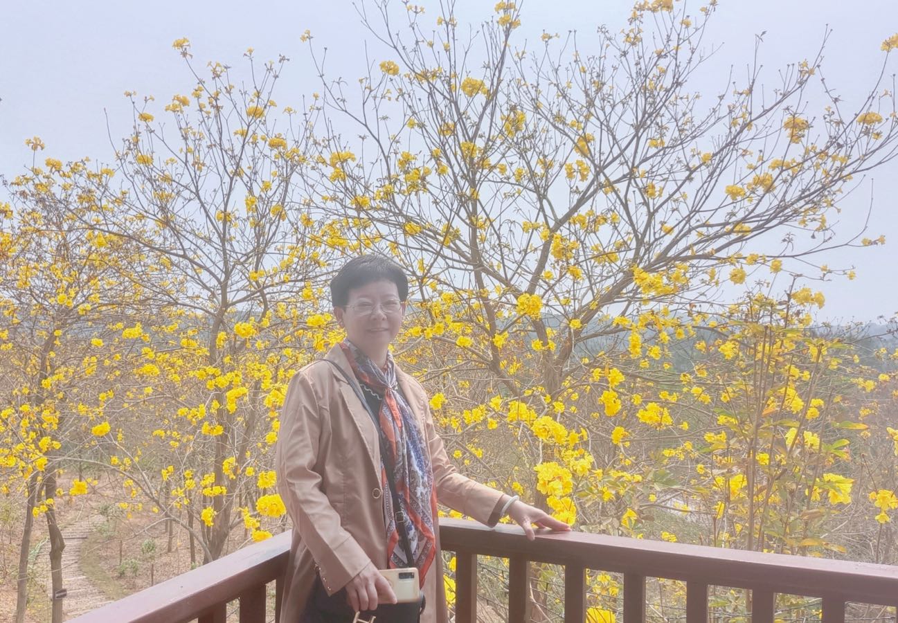 现代诗欣赏