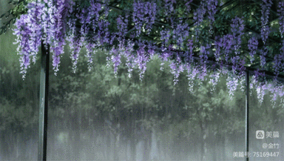 若梅花开/盼一场春雨,染一季姹紫嫣红(图4)