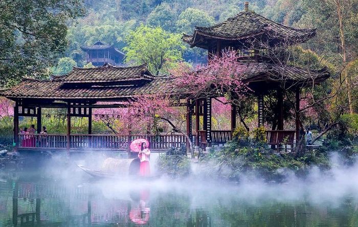 【花雨馨声】馨睿诵读《春日清晨》作者/春韵 编辑/青青【第286期】（图5）