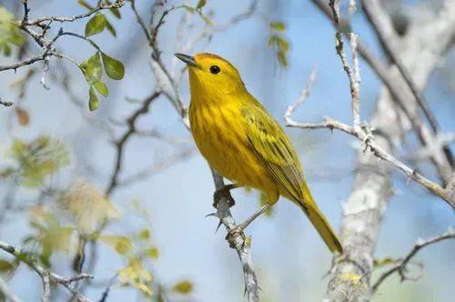 国风社甘肃分社半月刊第35期—北京头条（图8）
