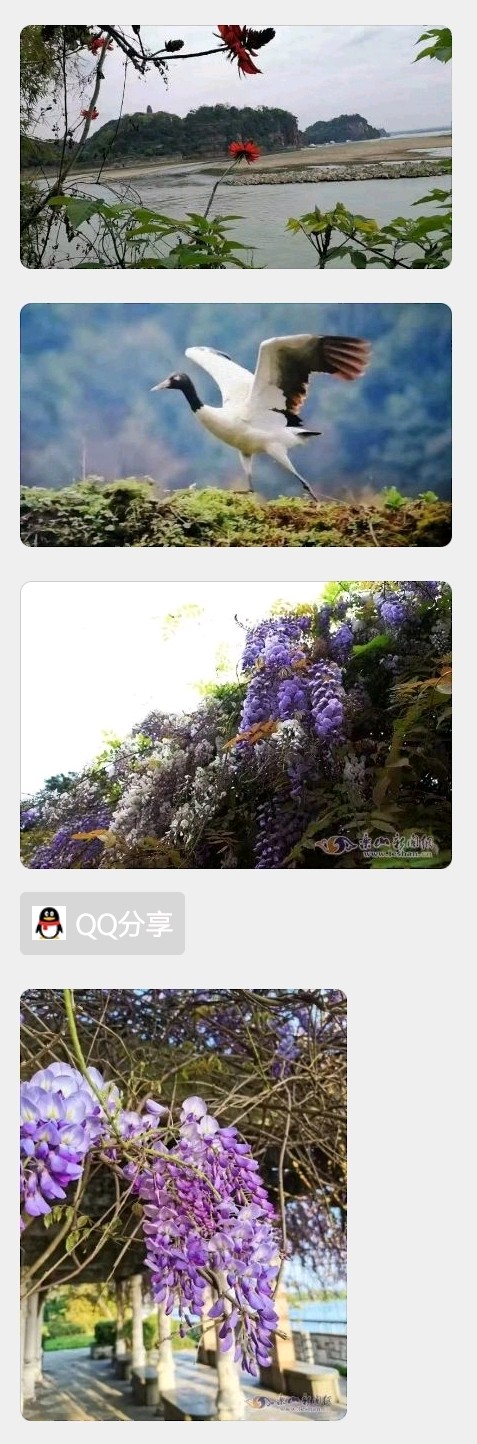 诗二首·周榜尧（图3）