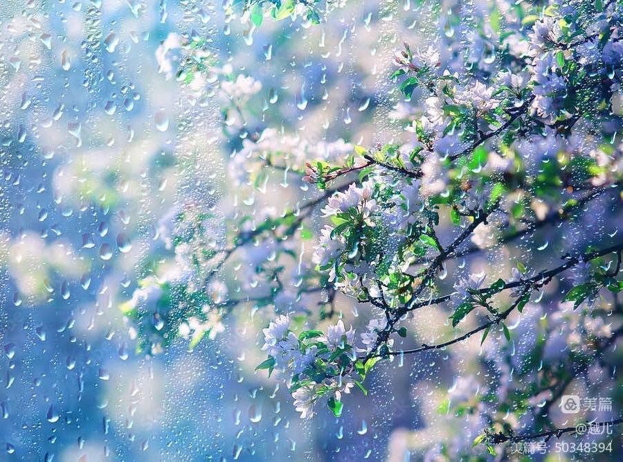 【上海头条】诗生活 ||越儿专辑