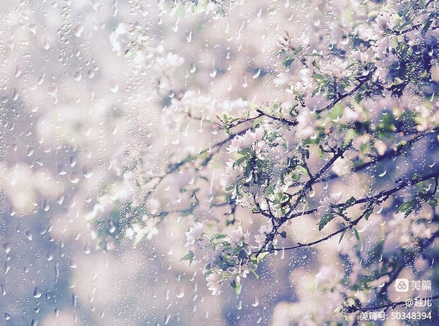 【上海头条】诗生活 ||越儿专辑（图2）