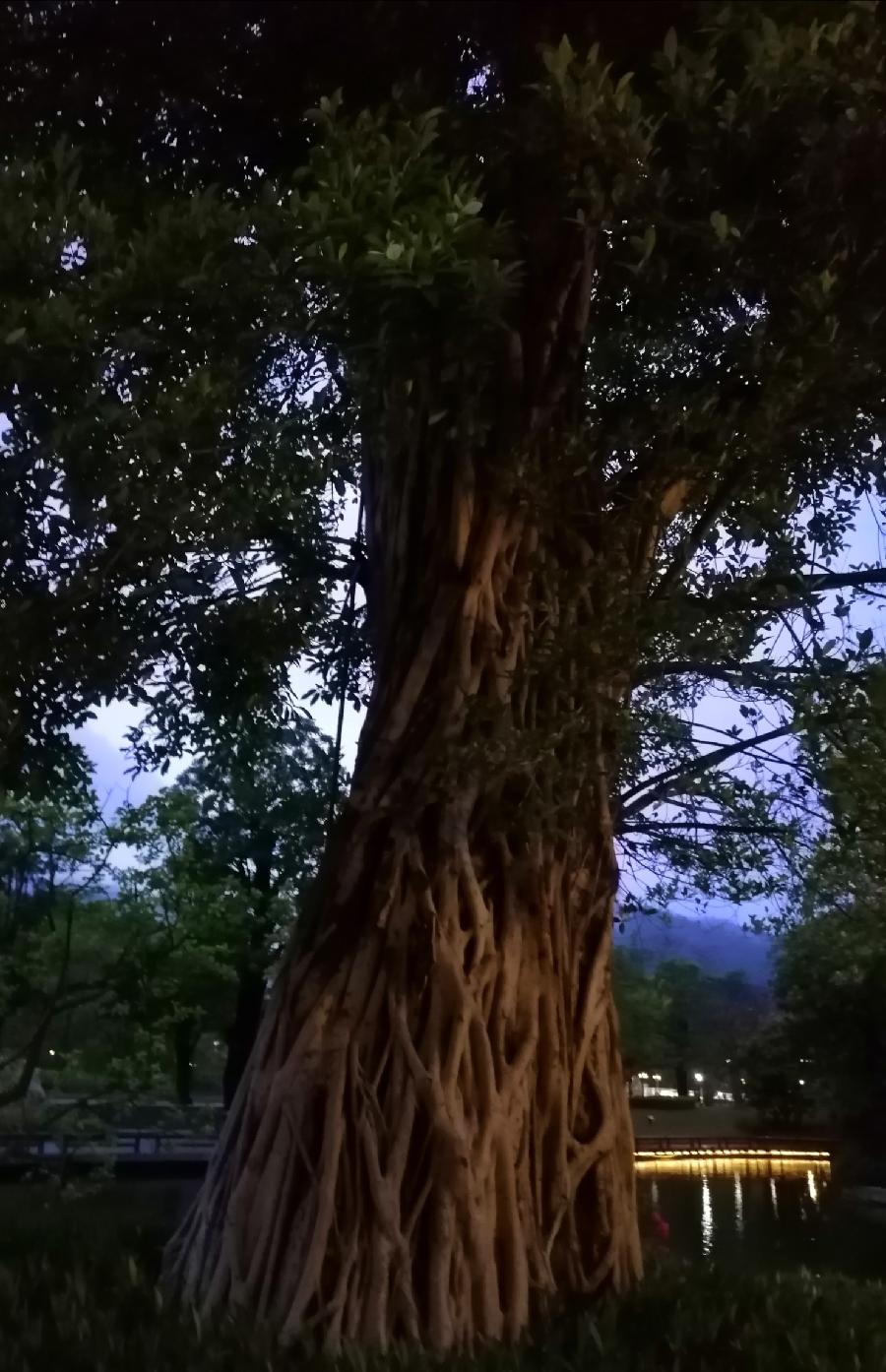 仲春诗词六首／江冲（图9）
