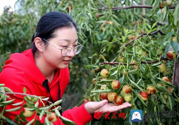 七律.学诗有寄 (组诗)文/铸梦人生(图3)