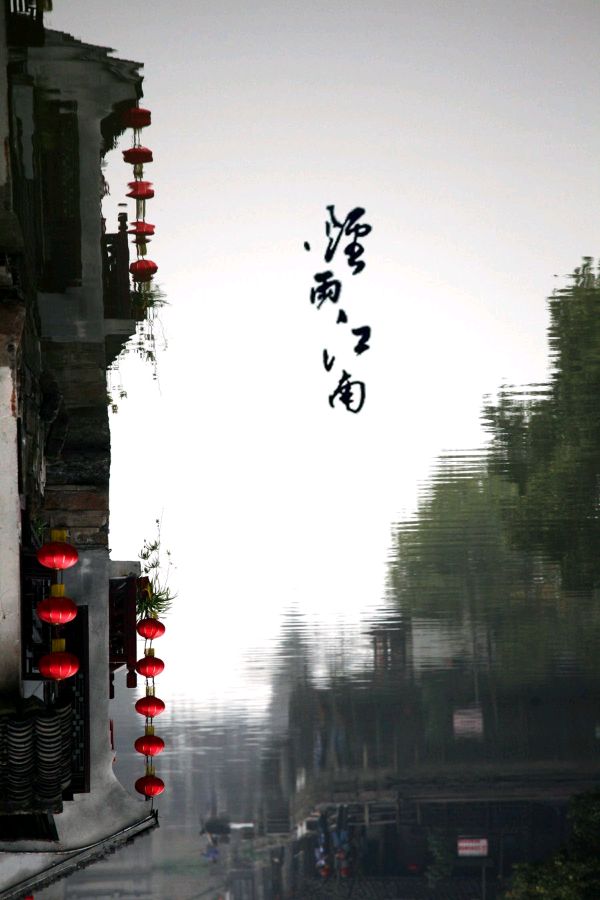 凤凰之歌朗诵【烟雨江南】作者/竹园清风（图4）
