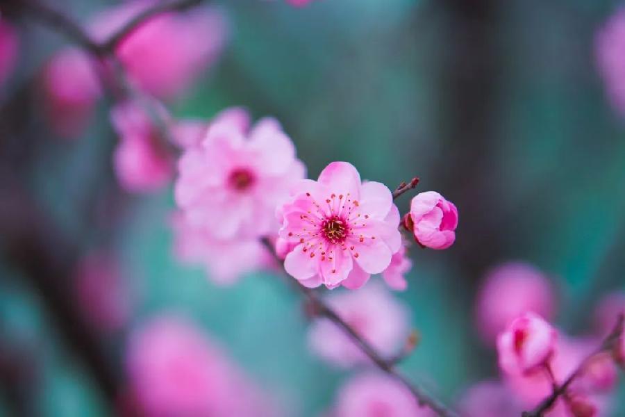 【神州源流诗苑】第909期[优秀现代诗]（含其他）周刊