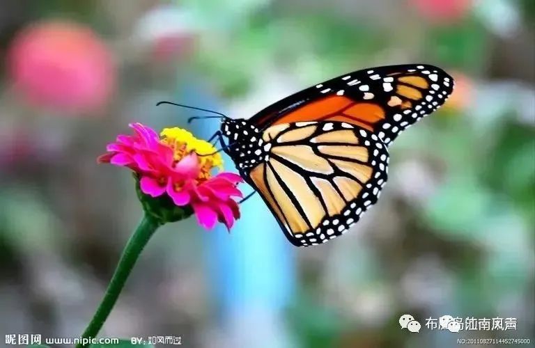 【神州源流诗苑】第909期[优秀现代诗]（含其他）周刊（图7）