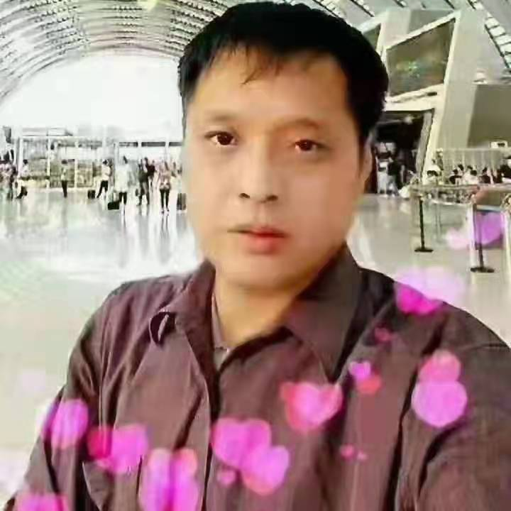 一只不服输的小鸟（外一首）文/竹林清风（图3）