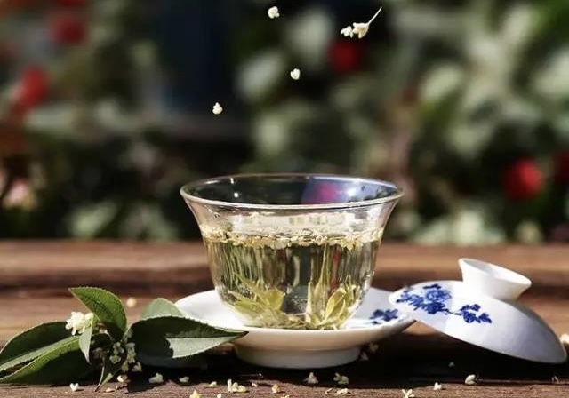 【新诗大观】慢煮光阴一盏茶,静看人生四季花||诵/文嘉(图2)