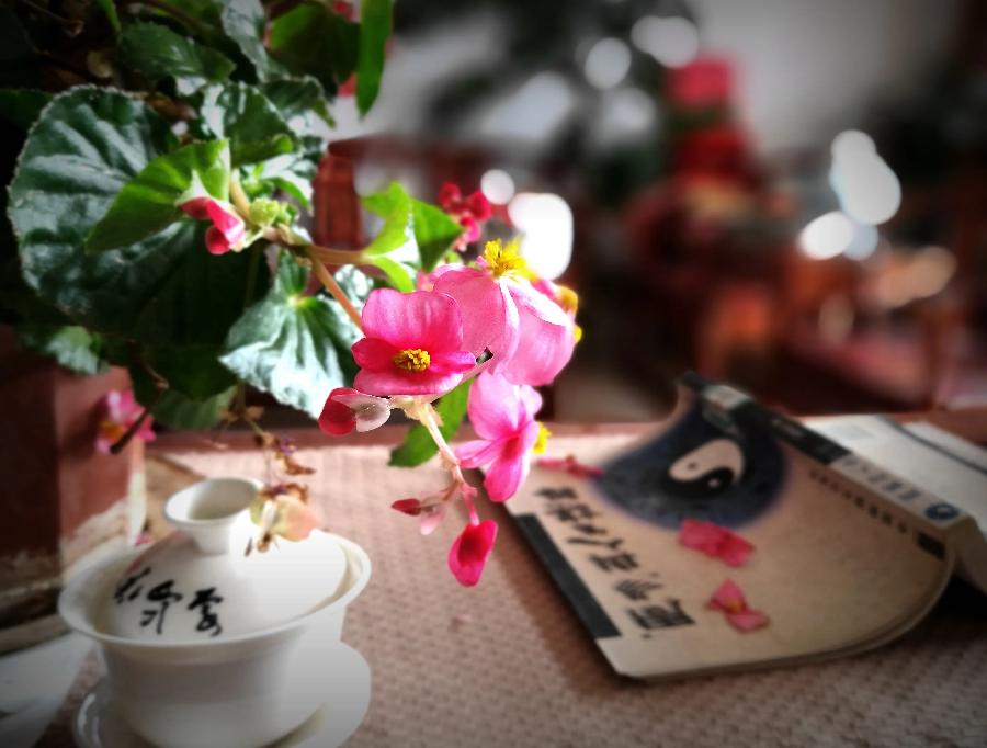 【新诗大观】慢煮光阴一盏茶,静看人生四季花||诵/文嘉(图8)