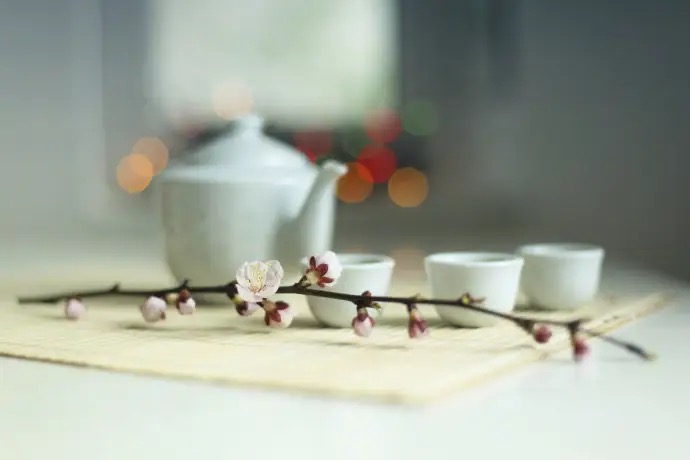 【新诗大观】慢煮光阴一盏茶,静看人生四季花||诵/文嘉(图9)
