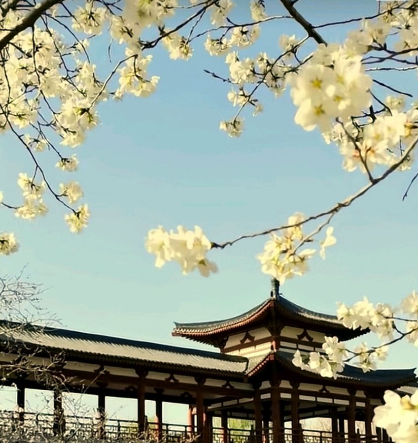 将进酒 畅饮伊水游园 原作/梁立锋（图15）