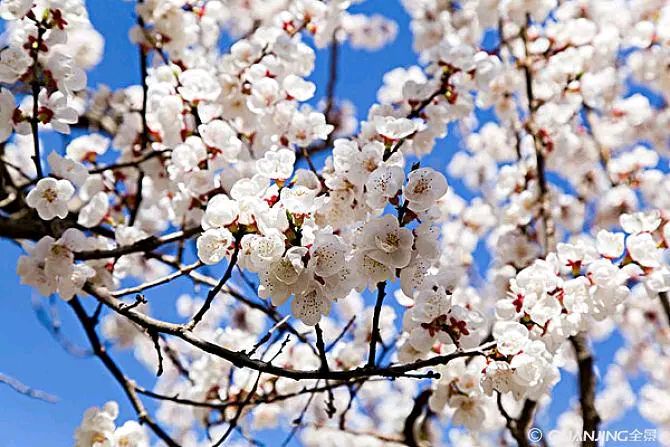 风雅诗社·第四十二期·古风诗篇（图4）