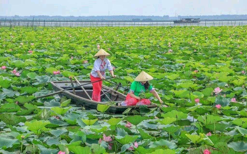风雅诗社·第四十二期·格律诗篇