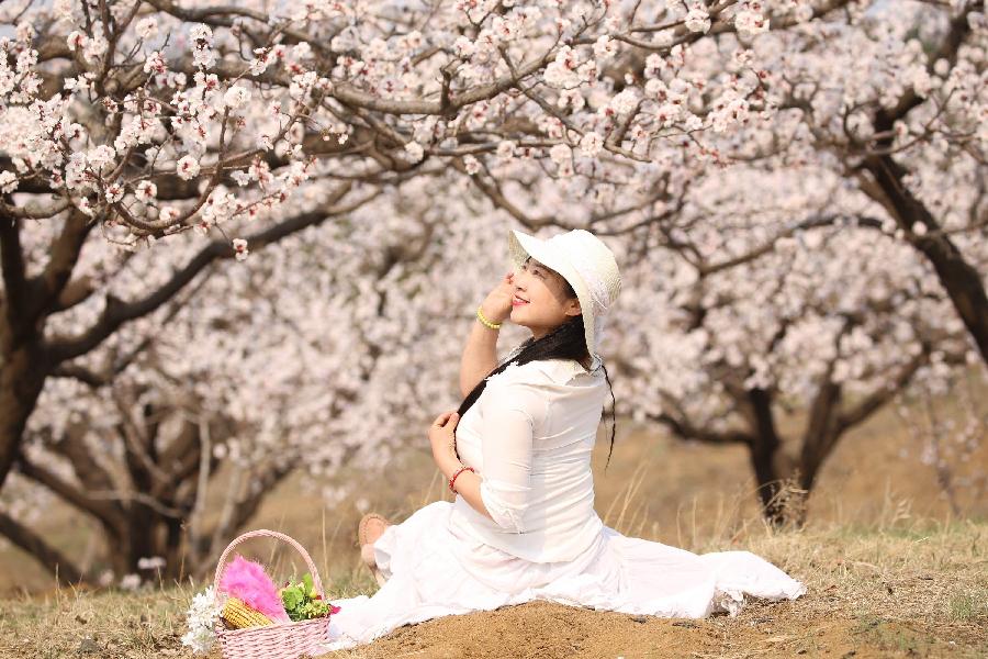 《鹧鴣天》癸卯春记(组诗)文新韻吏少銀(图2)