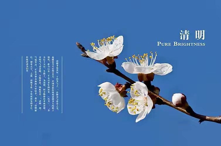 【新诗大观】写给清明||文/姜振国（图4）