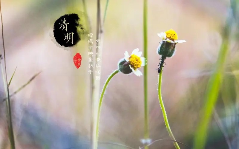 【新诗大观】写给清明||文/姜振国（图5）