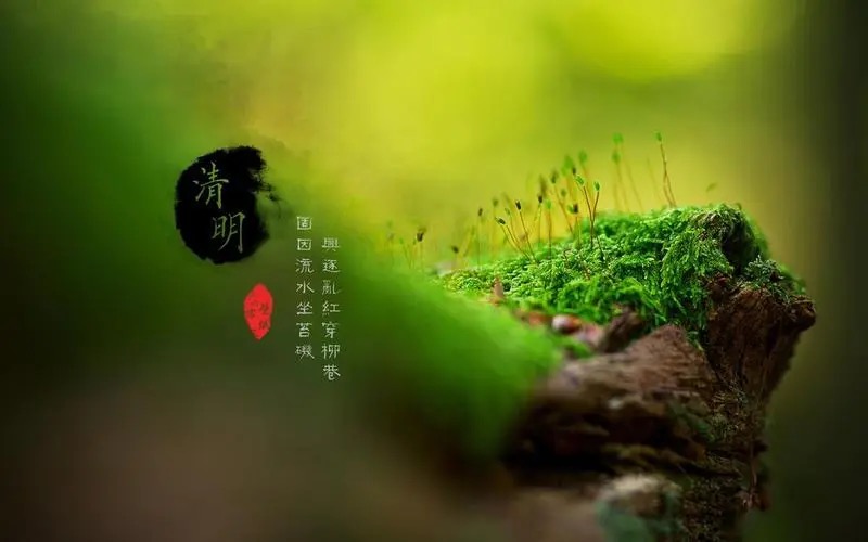【新诗大观】写给清明||文/姜振国（图6）
