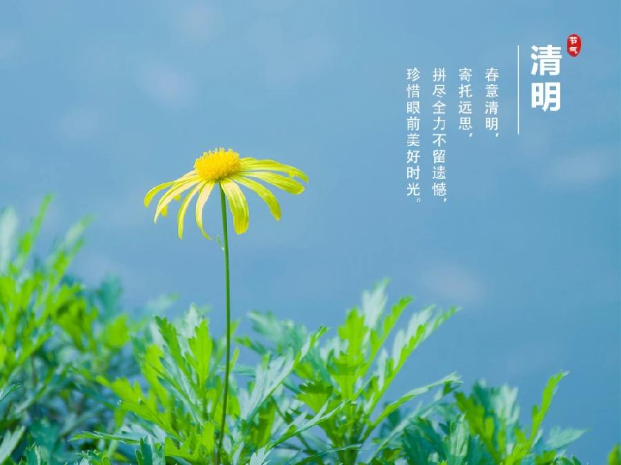 【新诗大观】写给清明||文/姜振国（图8）
