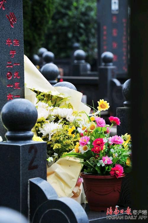 《清明祭语》作者:水沐【主播:涛声依旧】【桃源国际诗歌集团】用声音传递温暖以诵读致敬人生♬（图6）
