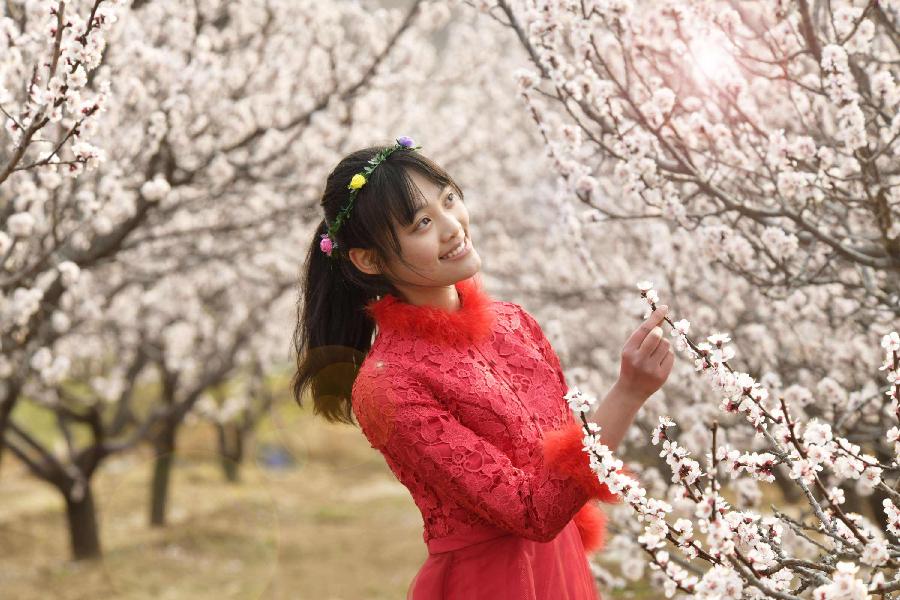 春暮 文/百忍成金（图2）