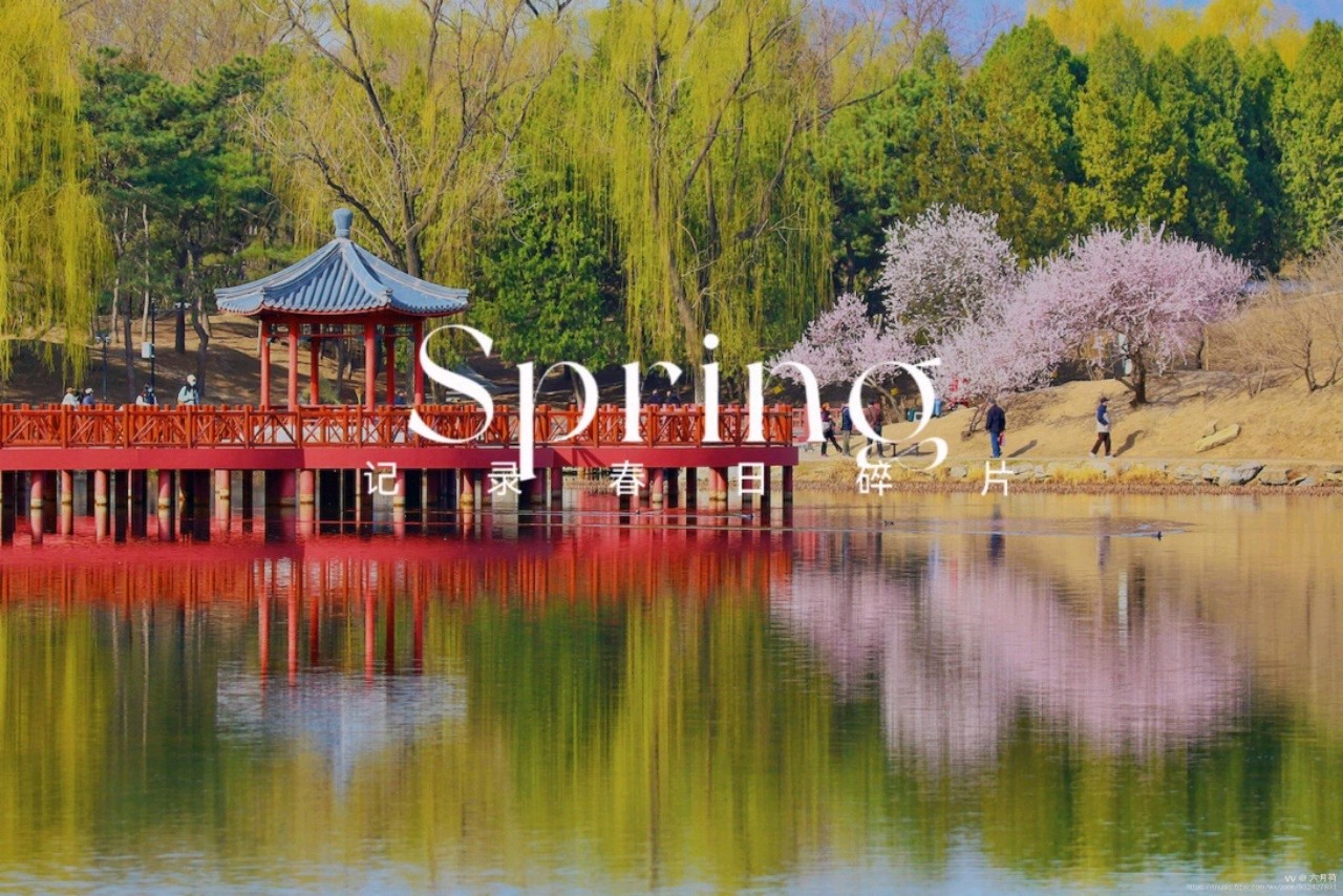难得糊涂朗诵【诗意春图】作者/六月荷（图11）