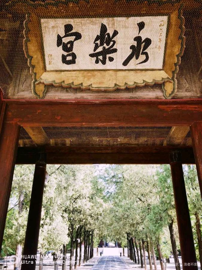 八仙点赞新芮城（图10）